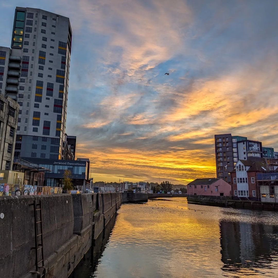 The ’swich tweet media