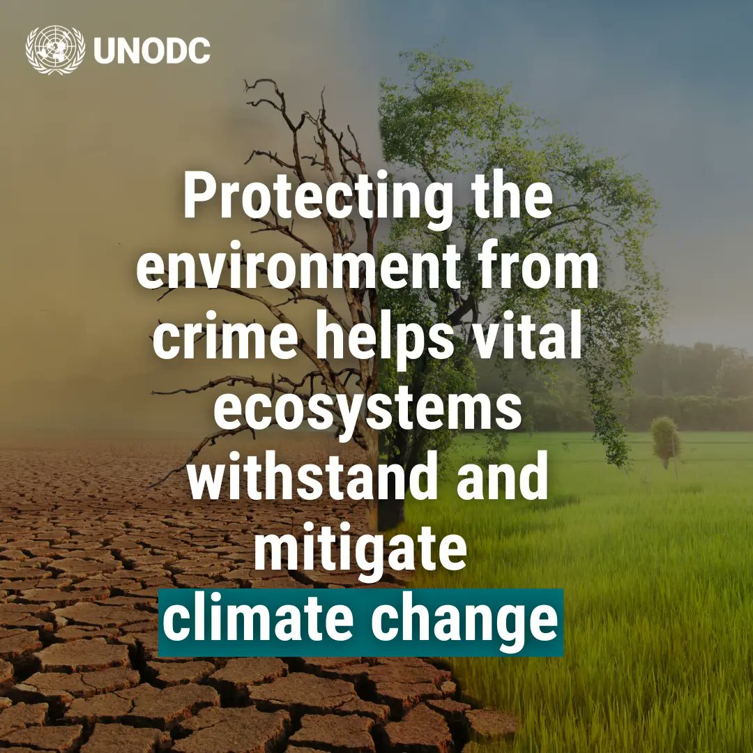 UNODC Environment Team tweet media