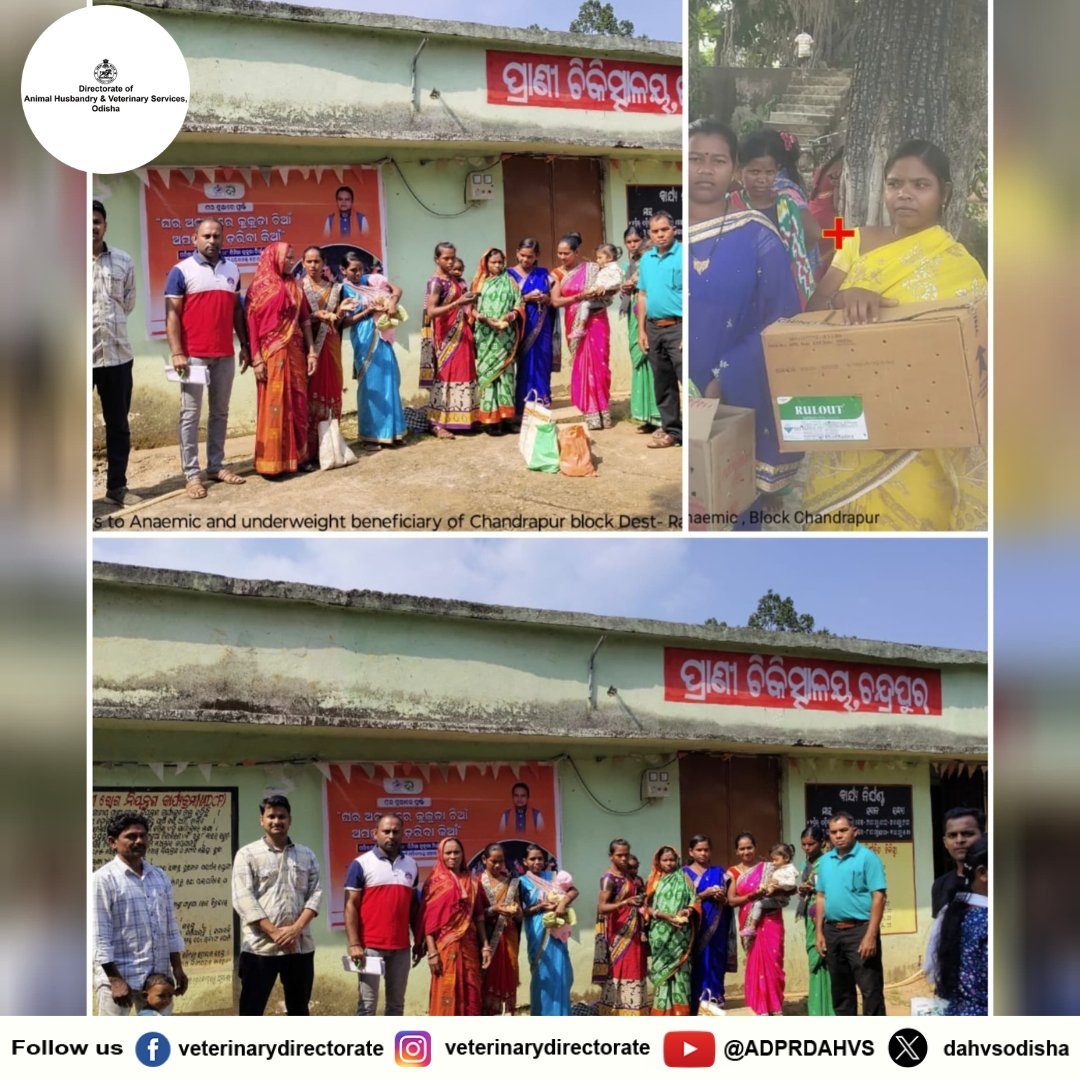 ରାୟଗଡ଼ା ଜିଲ୍ଲା ଚନ୍ଦ୍ରପୁର ବ୍ଲକ ଅନ୍ତର୍ଗତ ବିଭିନ୍ନ ଗ୍ରାମପଞ୍ଚାୟତରେ ସରକାରଙ୍କ ଲୋକାଭିମୁଖୀ ଯୋଜନା "ଗରୀବ ଶ୍ରେଣୀର ମହିଳା ଓ ଶିଶୁଙ୍କ ଅପପୁଷ୍ଟି ଦୂରୀକରଣ" ପାଇଁ ହିତାଧିକାରୀଙ୍କୁ ମାଗଣାରେ କୁକୁଡ଼ା ଚିଆଁ ବଣ୍ଟନ କରାଯାଇଛି । ଏହି କାର୍ଯ୍ୟକ୍ରମ ରେ ମତ୍ସ୍ୟ ଓ ପ୍ରାଣିସମ୍ପଦ ବିକାଶ ବିଭାଗର ବରିଷ୍ଠ ଅଧିକାରୀ ଉପସ୍ଥିତ ଥିଲେ।