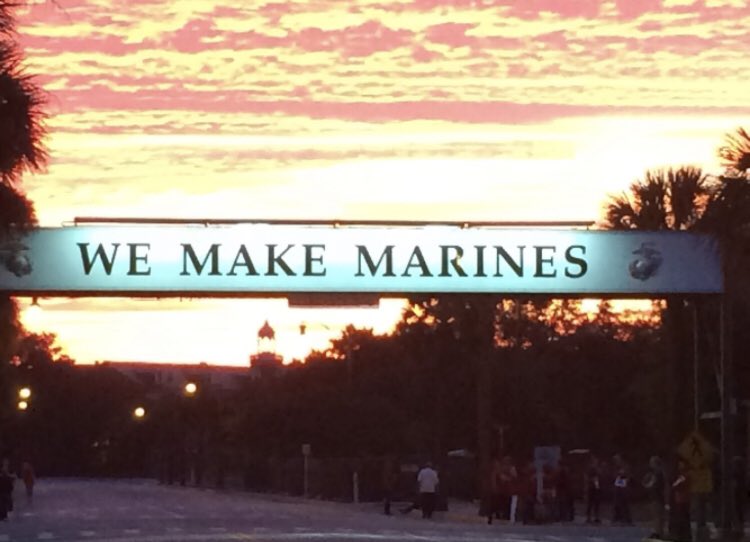 Patty Harken tweet media