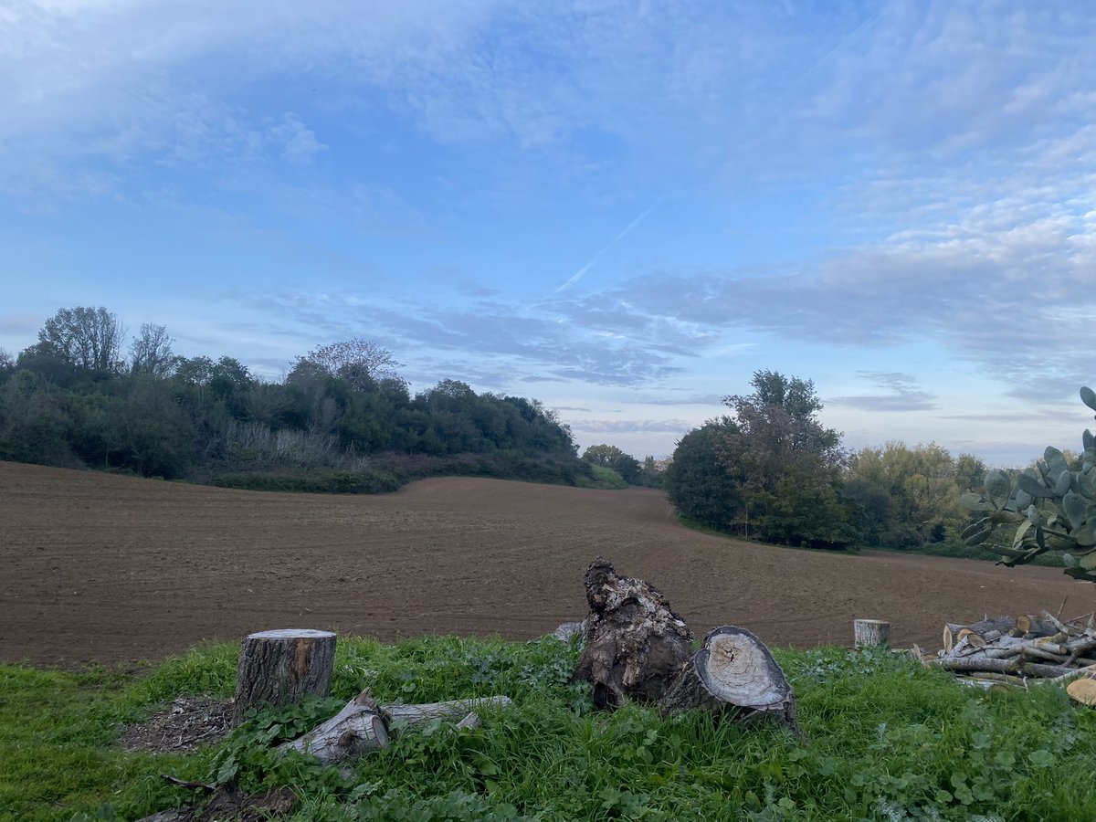LucainRome's tweet photo. Buongiorno Roma. 
Parco della Caffarella.
#Roma #CittaEterna #FotodiRoma #RomaSegreta #Viaggio

Good morning Rome.
 Parco della Caffarella.
#Rome #EternalCity #PicsofRome #SecretRome #Travel https://t.co/384VEqHAoa