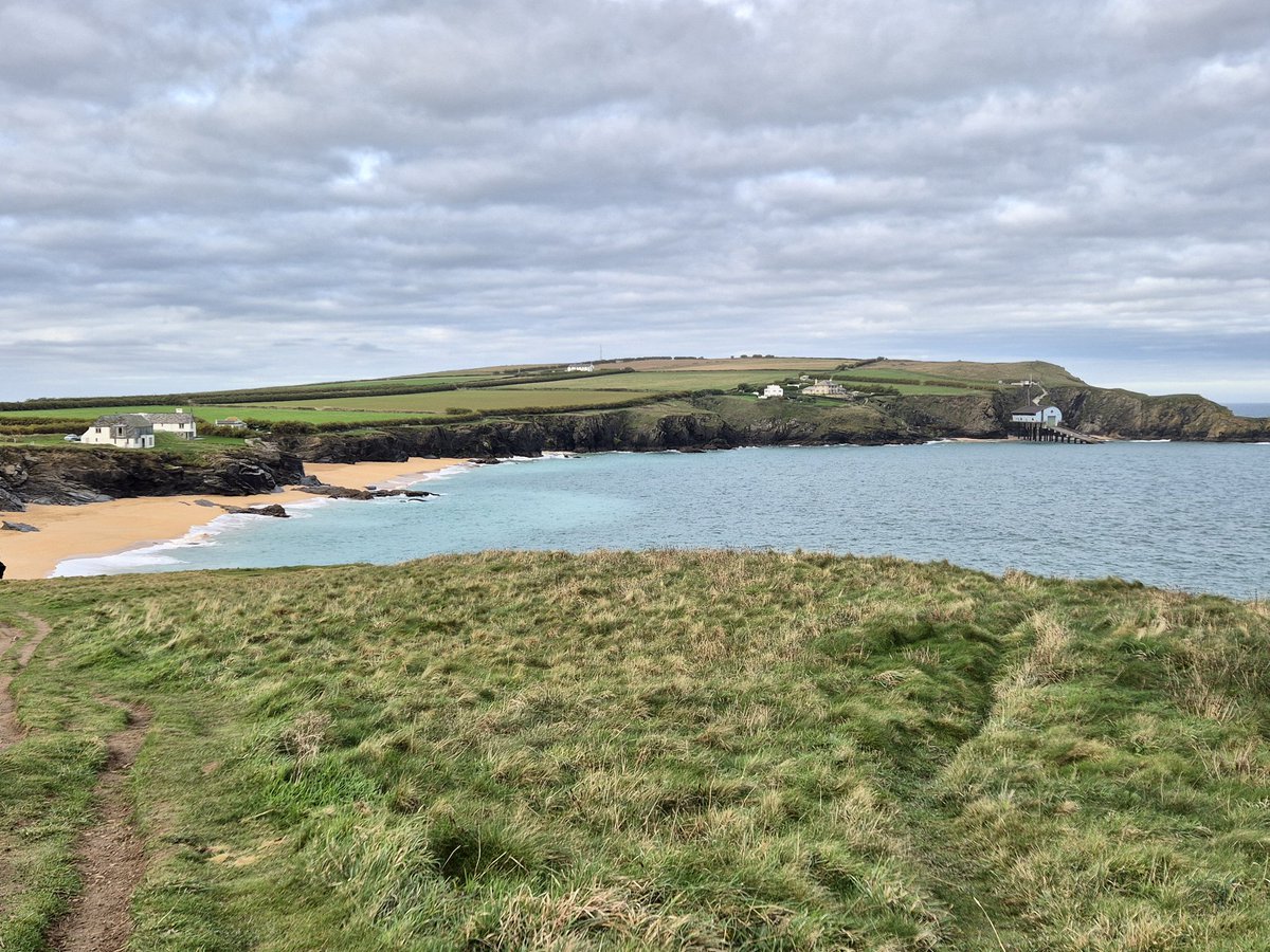 Brian Moore tweet media