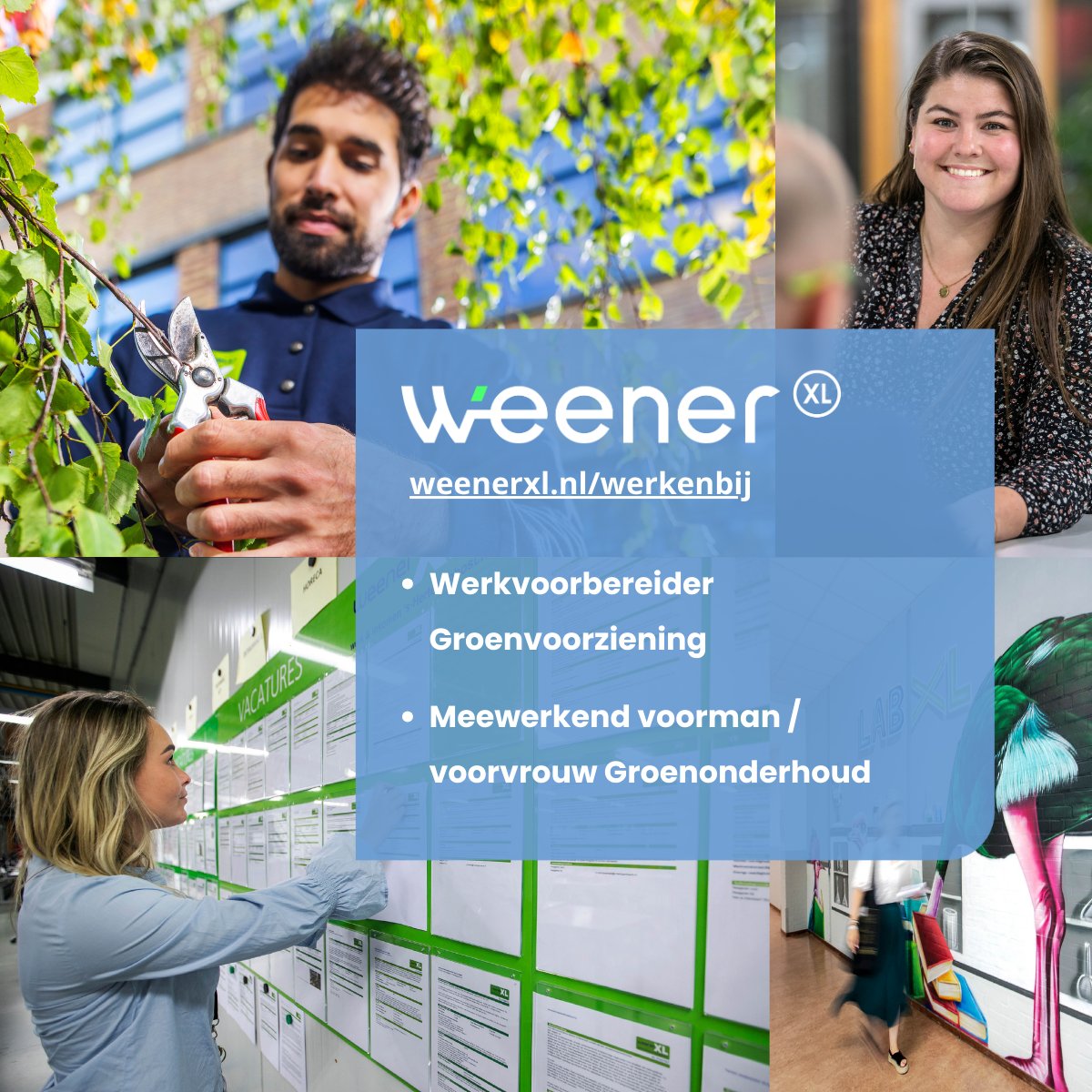 Breng groenprojecten tot bloei! 🌱

Solliciteer op deze twee mooie vacatures bij Weener XL, het inclusieve werk- en ontwikkelbedrijf van de #gemeente 's-Hertogenbosch:

💼 Werkvoorbereider groenvoorziening
👩‍🌾 Meewerkend voorman/voorvrouw

Solliciteer via weenerxl.nl/werkenbij