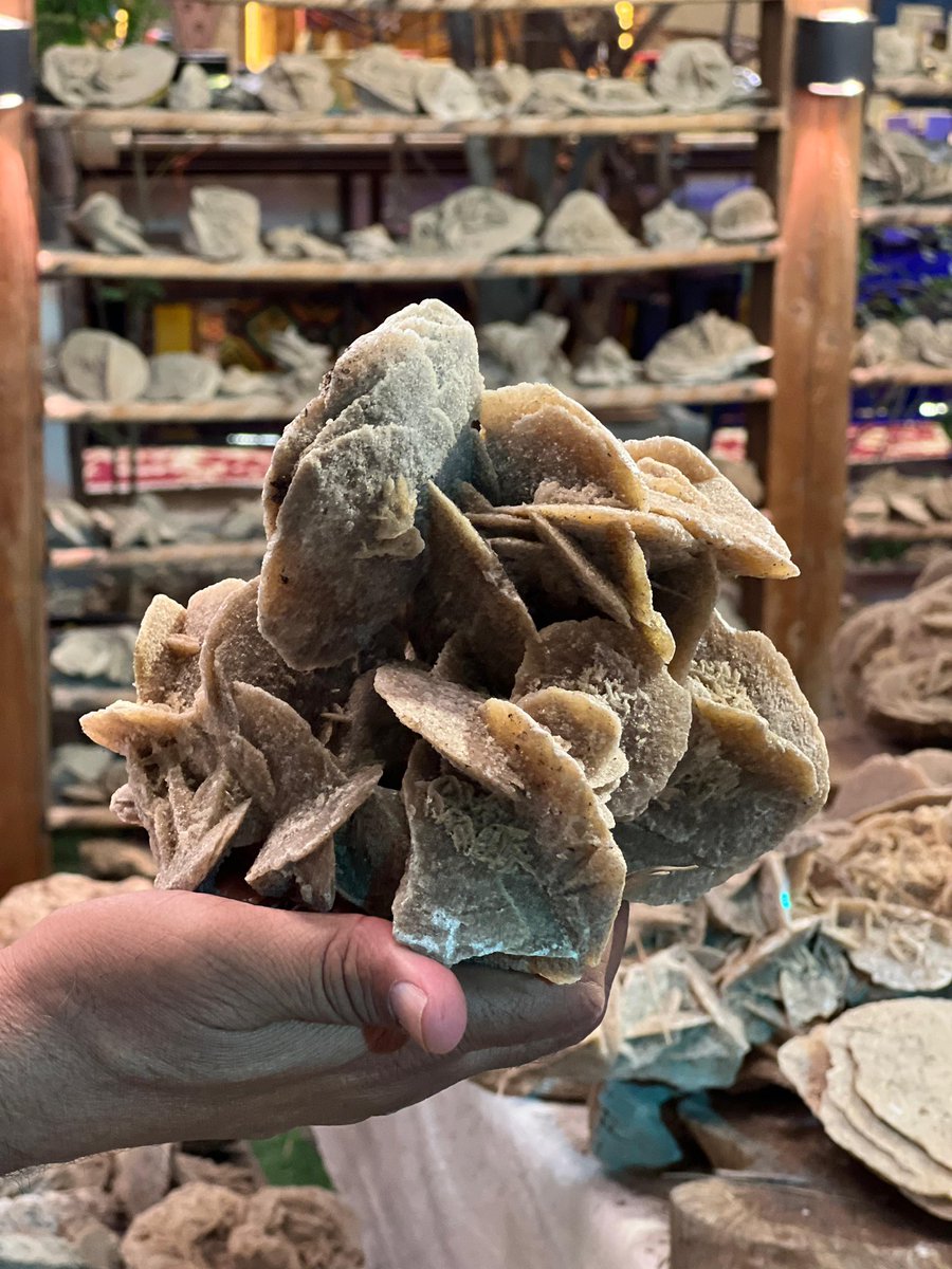 ‏فرع الجمعية الجغرافية السعودية بالمنطقة الشرقية tweet media