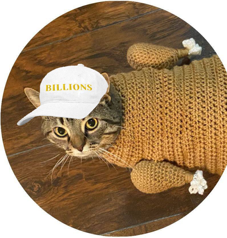 TurkeyCat sees the future, millions then billions