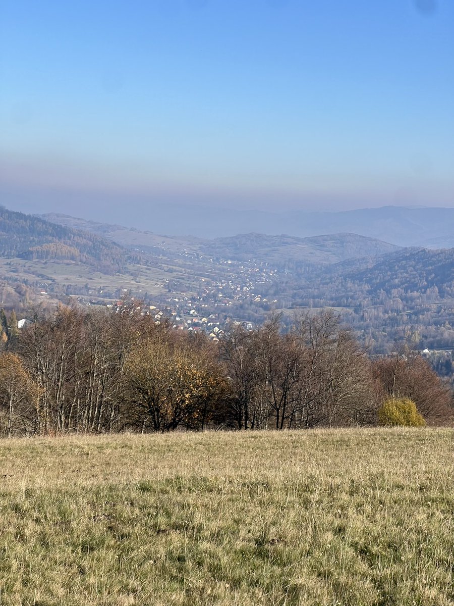 Esperanza 🇵🇱🇪🇺 tweet media