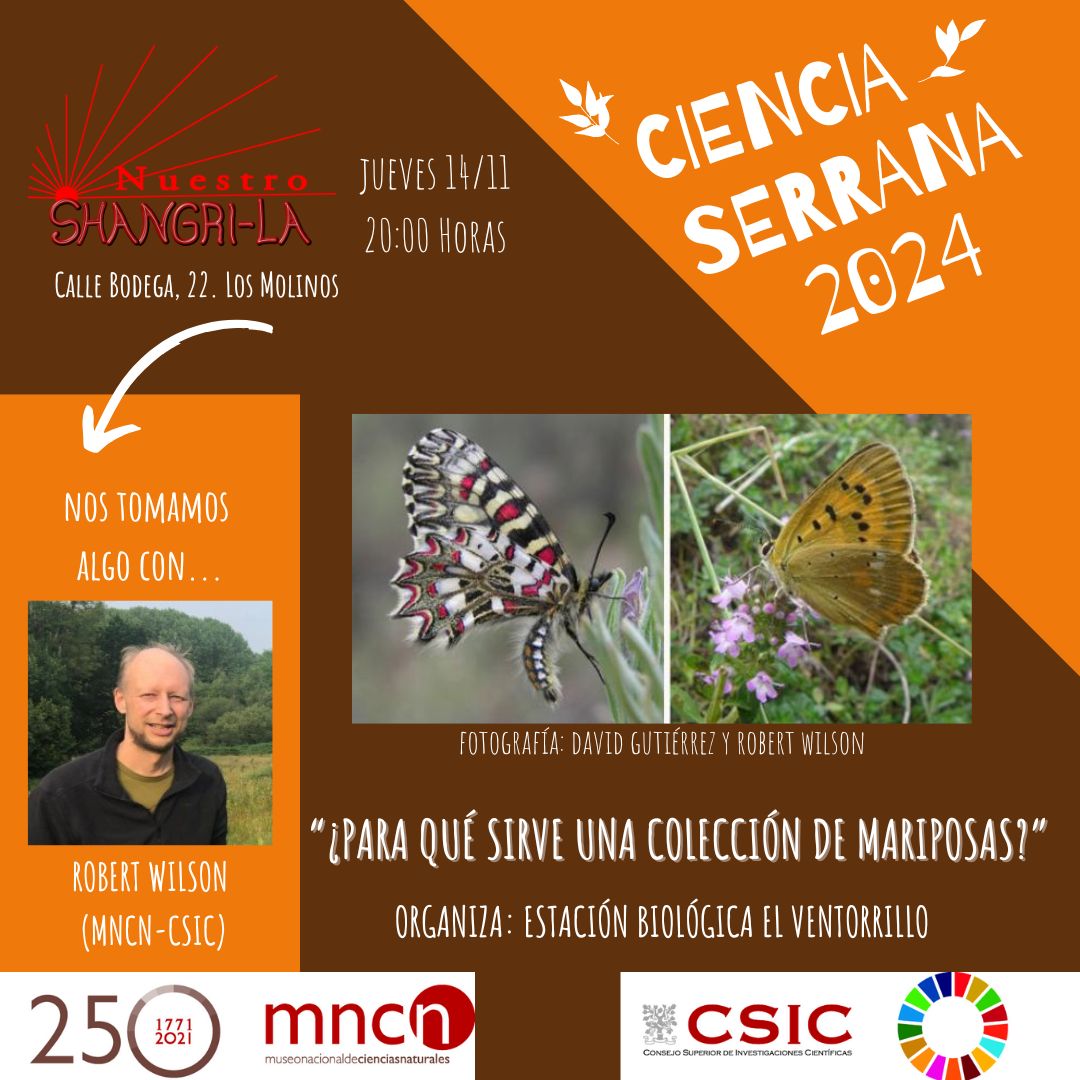 Museo Nacional de Ciencias Naturales (@mncn_csic) on Twitter photo #cienciaserrana2024 Muchos naturalistas pasaron por la Sierra de Guadarrama en busca de 🦋. El MNCN tiene una gran colección que <a href="/RobWilsonMNCN/">Rob Wilson</a> y su equipo usan para responder a preguntas sobre #cambioglobal. Os lo cuenta el 14 nov. a las 20h en Nuestro Shangri-La <a href="/aytolosmolinos/">Ayto. Los Molinos</a> #cienciaserrana2024 Muchos naturalistas pasaron por la Sierra de Guadarrama en busca de 🦋. El MNCN tiene una gran colección que <a href="/RobWilsonMNCN/">Rob Wilson</a> y su equipo usan para responder a preguntas sobre #cambioglobal. Os lo cuenta el 14 nov. a las 20h en Nuestro Shangri-La <a href="/aytolosmolinos/">Ayto. Los Molinos</a>