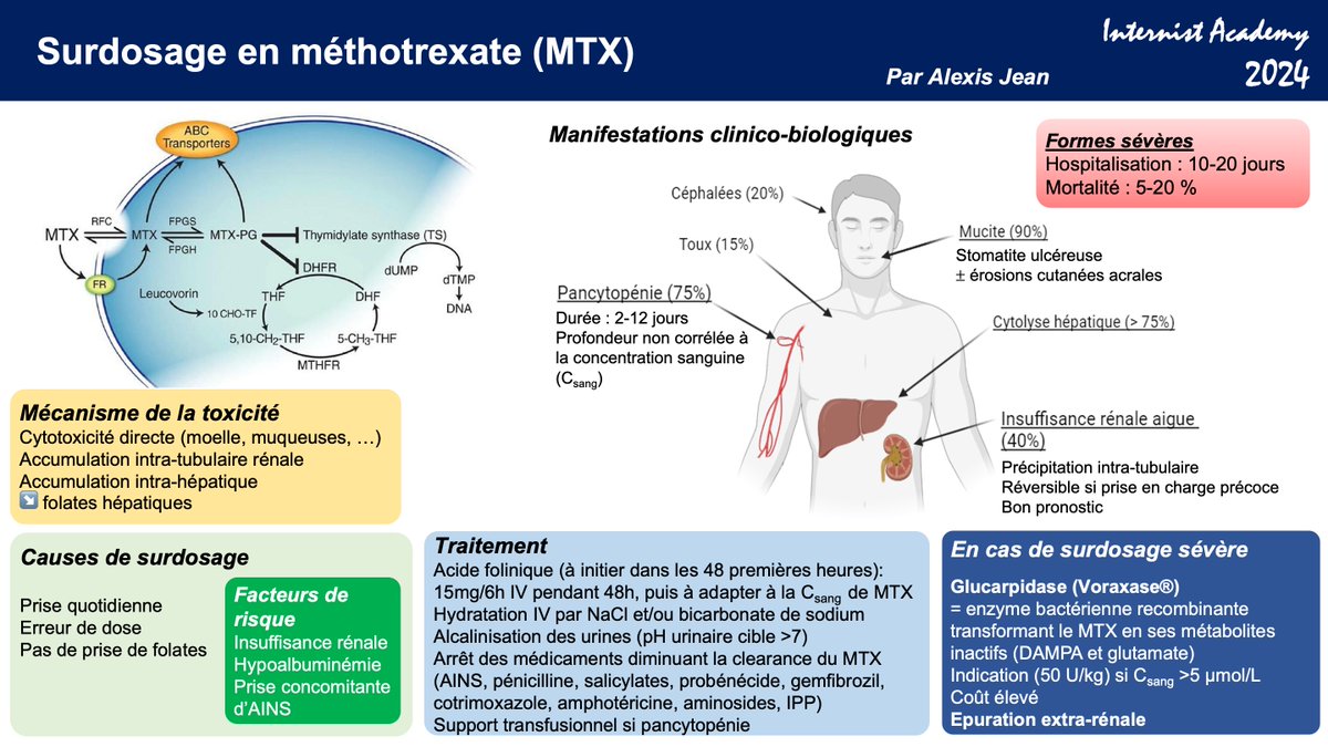 Surdosage en méthotrexate - Par Alexis Jean (Interne en Médecine Interne, Bordeaux, France) #surdosage #methotrexate #InternistAcademy 2024
