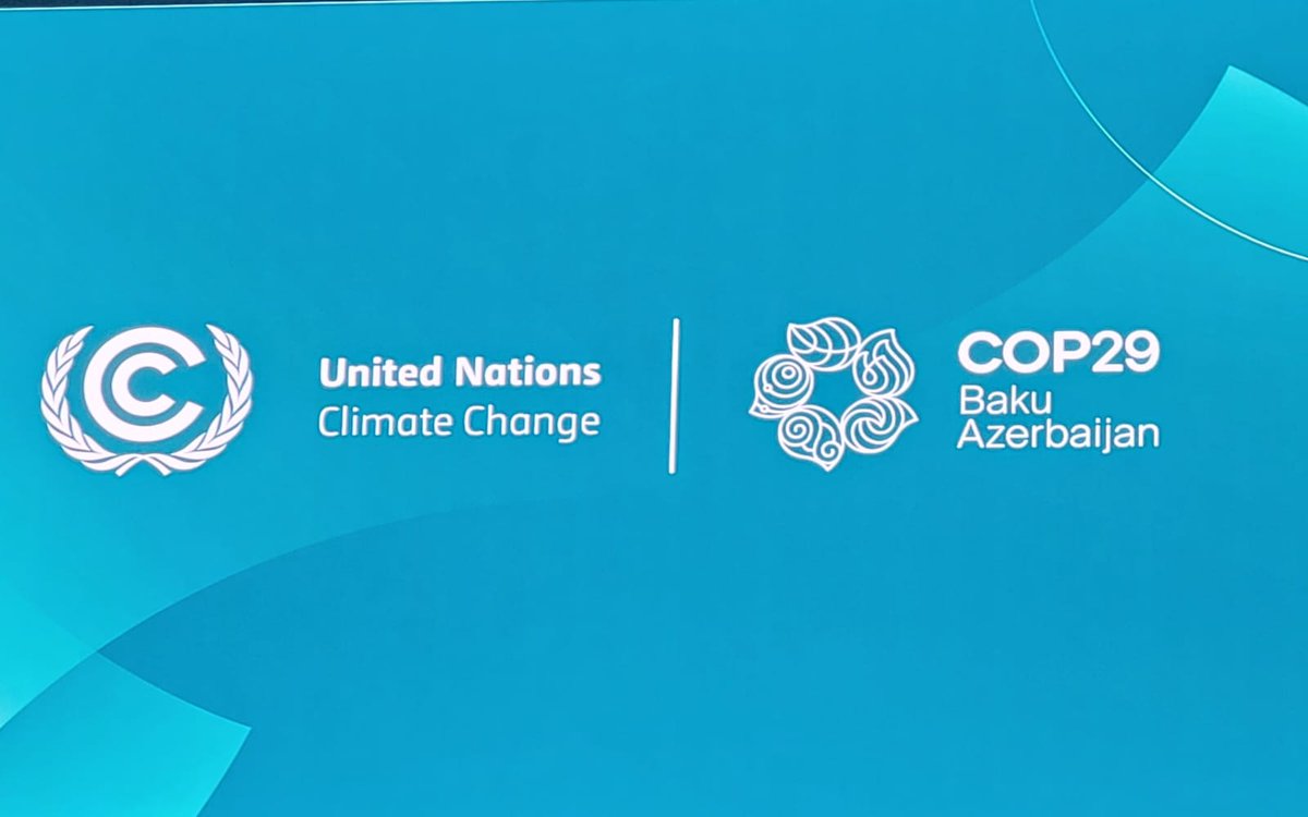 Ali Mohamed tweet media