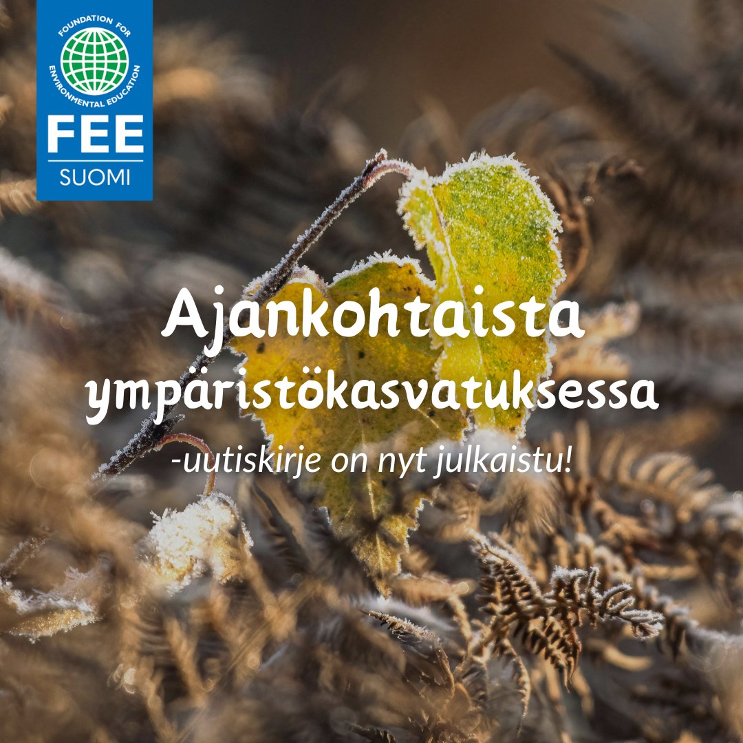 Marraskuun Ajankohtaista ympäristökasvatuksessa -uutiskirje on nyt julkaistu!❄️

👉 tinyurl.com/myvpwwmy 

#ympäristökasvatus #ajankohtaista