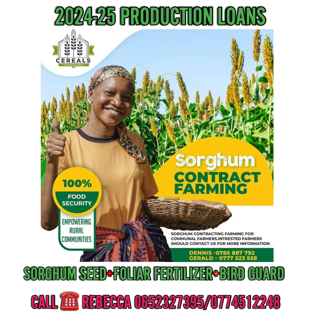 Farmers be smart and beat the drought! <a href="/MoLAFWRD_Zim/">MinofLands,Agric,Fisheries,Water&Rural Development</a> <a href="/CBZHoldings/">CBZ Holdings</a> <a href="/agribusinesszw/">Agribusiness Media</a> <a href="/WendyMadzura/">Wendy Matashu Madzura</a> <a href="/MaminiminiObert/">Obert Maminimini</a> <a href="/ChembelaJustice/">Justice Chembela</a> <a href="/chrissy10charu/">Christine Charumbira</a> <a href="/corporatefarmg1/">Tanaka Farm and Ranch #Seedlings🇿🇼🇿🇲</a>