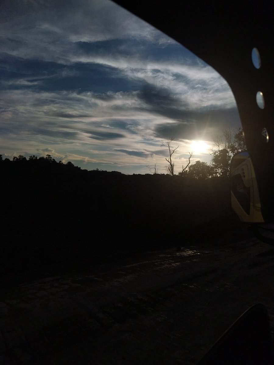 randomizz's tweet image. 