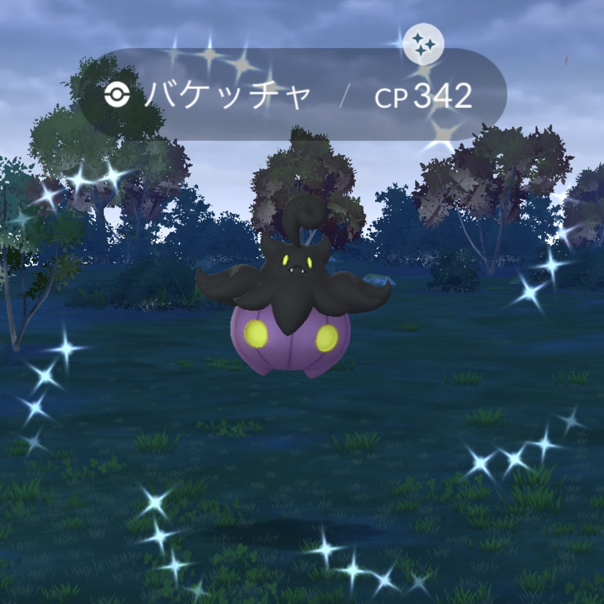 バケッチャの色違い2匹もでた〜！💜💜
かわいい(⸝⸝ɞ̴̶̷ ·̫ ‹⸝⸝ᐡ)~☆