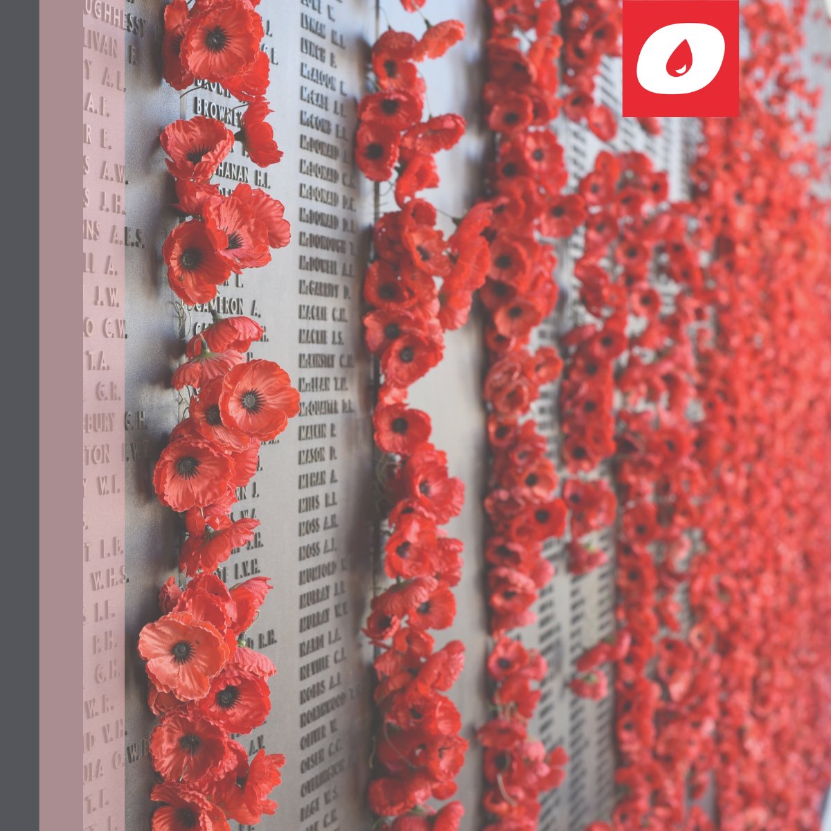 Today, we pause to honor and remember the courage, sacrifice, and dedication of those who have served and those who continue to serve. Their bravery has shaped the freedoms and values we hold dear.
#Lestweforget #remembranceday2024 #thankyou