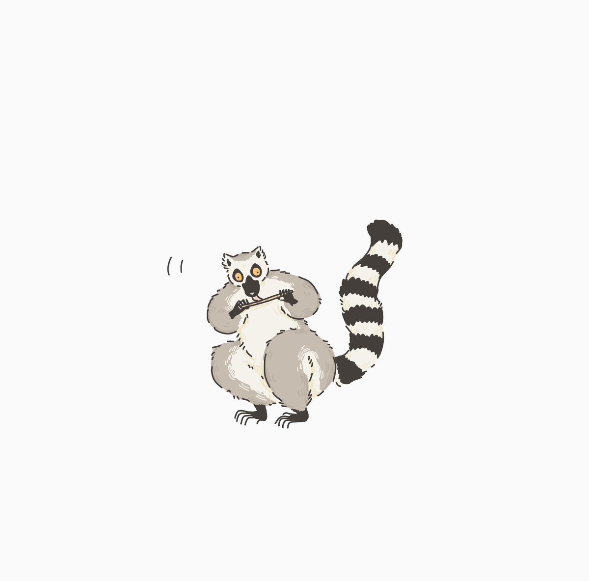 ポッキーのチョコだけ舐めとるキツネザル