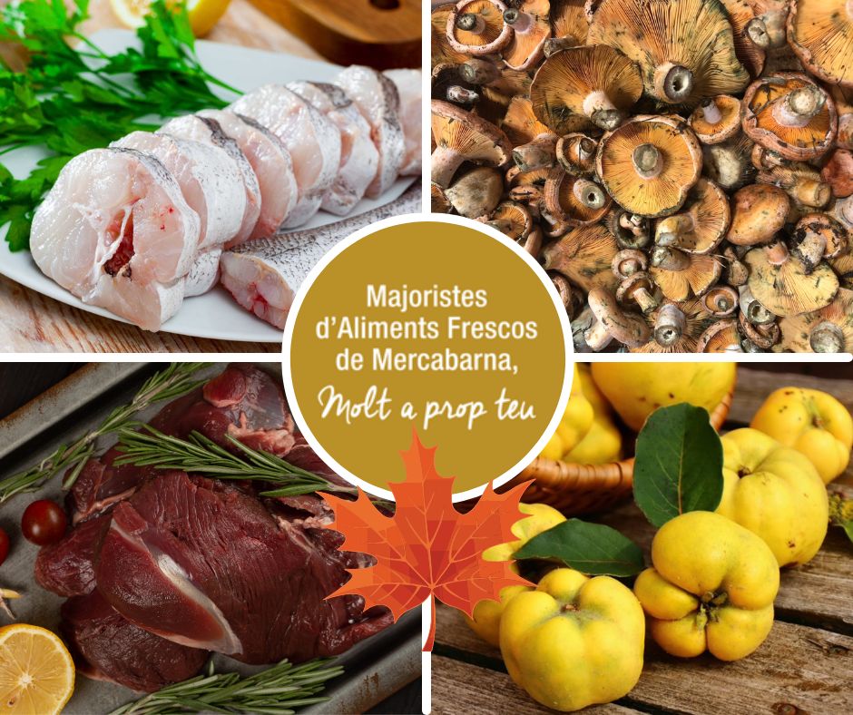 assocome_mb's tweet photo. 💪🏻Arrenca la setmana amb els millors frescos!
📢Ja tens la nostra última #Newsletter amb el llistat de #productefresc i les #receptes🔝de la @Xef_Ruscalleda per cuinar-lo:
🍄‍Flam de bolets
🐟Romesquet amb congre
🍖Civet
🤩Descobreix tot això i més aquí👉🏻 https://t.co/4Si7phNsZL https://t.co/4Z7TJmTpm6