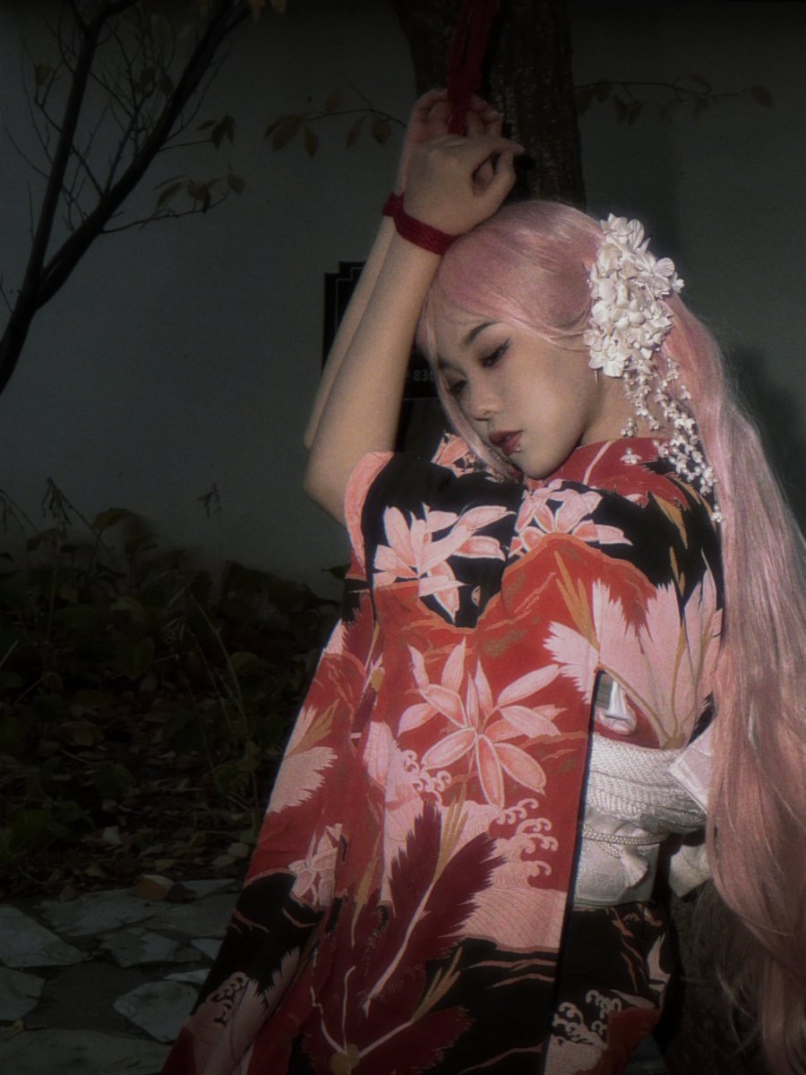 HaoHanShibari's tweet photo. 『樱幻』花絮
樱香缭绕天垂美，魅惑妖姬似梦来～
​🧚‍♀️： @ALLIGATOR_XZ
​📷： @Siamesejingzhe
​🪢： @HaoHanShibari https://t.co/aTSESfyIjP