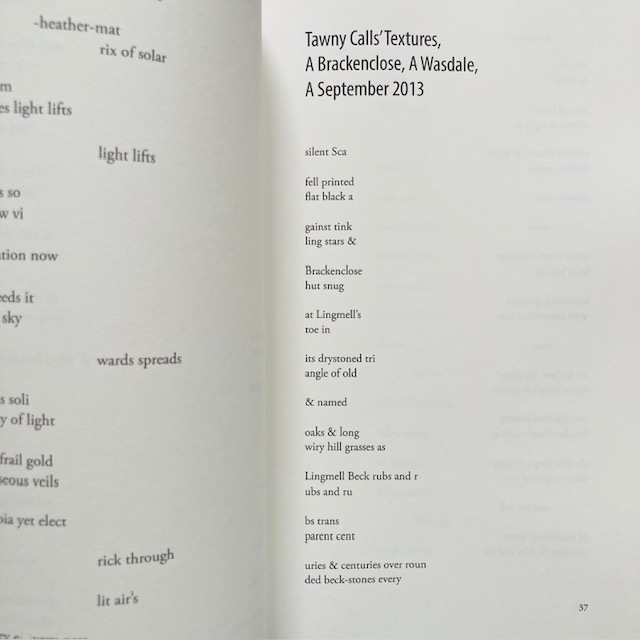 Shearsman tweet media