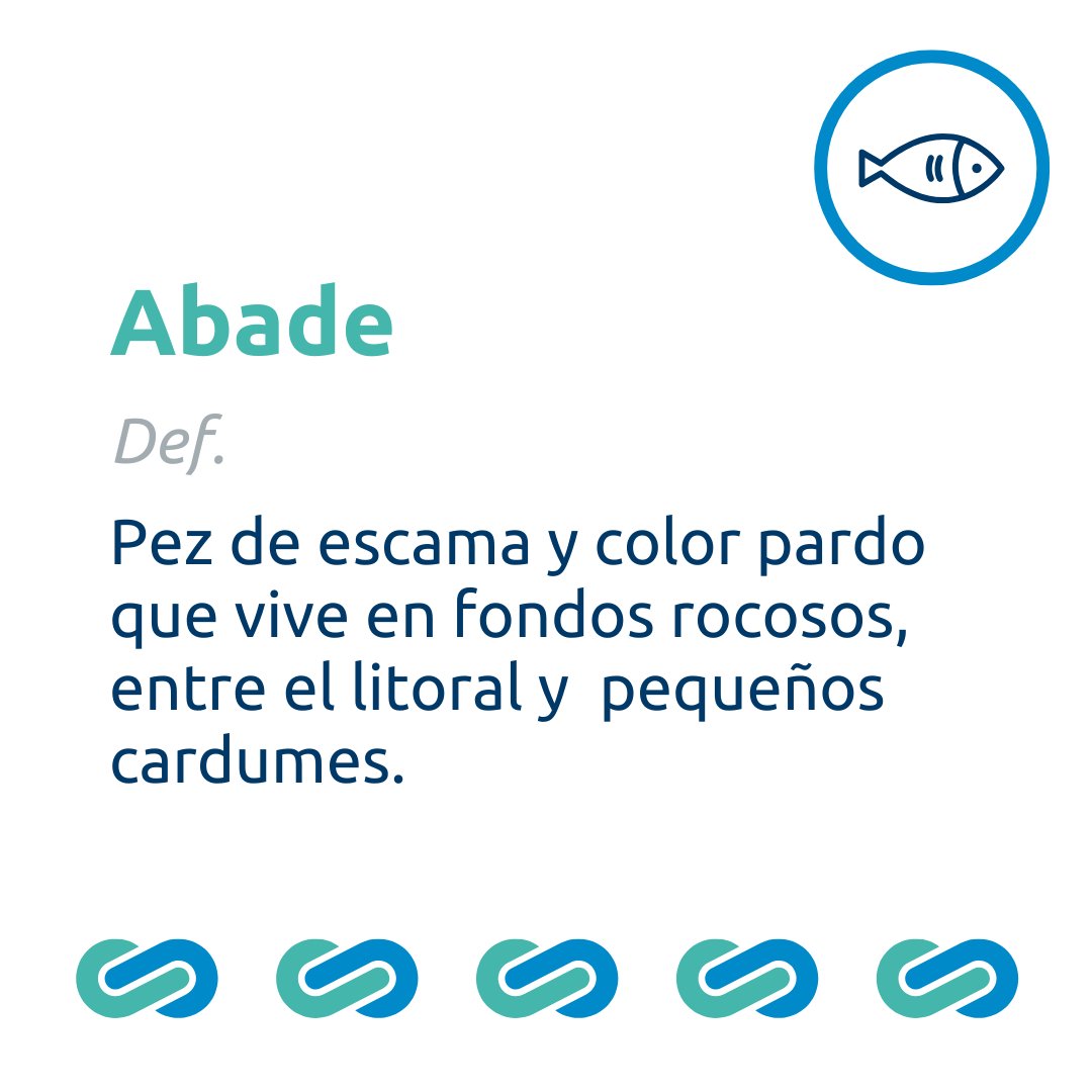 🐟 En las profundidades del #OcéanoAtlántico vive un pez de escama y de color pardo al que le encanta alimentarse de otros peces como la sardina… 

¡No cabe duda de que el ‘Abade’ o ‘Abad’, como lo llamamos en Canarias, tiene buen gusto!

#PuertosCanarios #Canarismos #Canarias