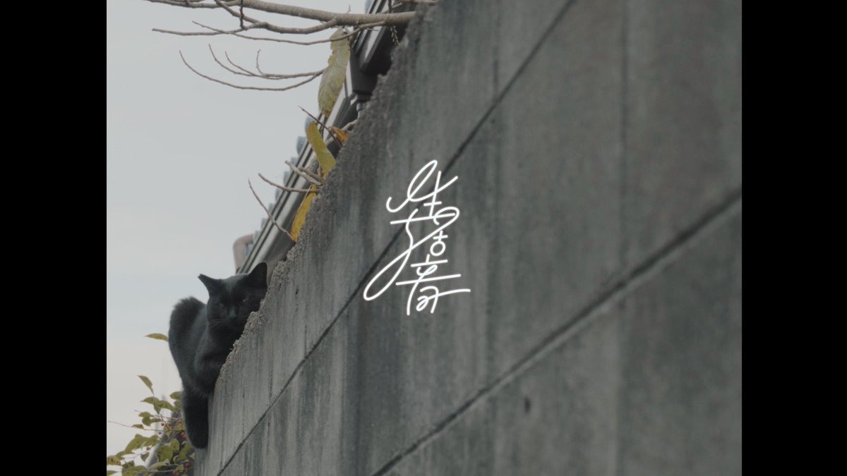 ✴︎NEW MV✴︎

d.a.b.d.e/生活音2
youtu.be/O23hiFwbAHQ
生活のほんの一部を。

2024.11.11（Release）
d.a.b.d.e-EP「生活音」
linkco.re/F1mHG11n

#生活音