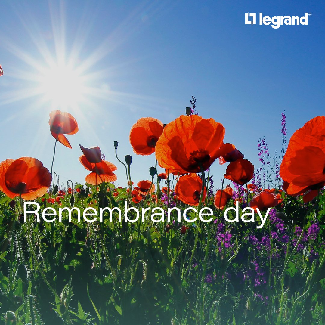On this Remembrance Day, we pause to honour the brave men and women who have sacrificed so much. #RemembranceDay #LestWeForget