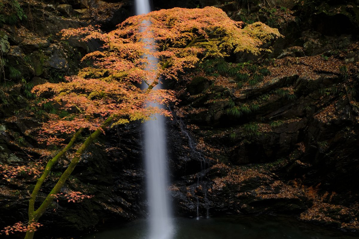 朝のお知らせです。まだ終わらない夏と終わってほしくない夏の風景📷 #美しい風景 #田舎の風景 #夏の思い出 #夏の終わり #宮城県 | TikTok, image size:1200x800