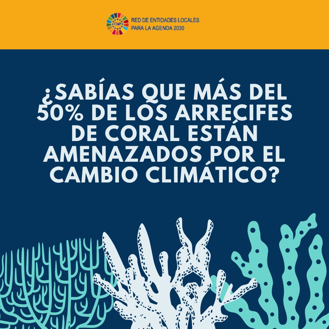 🌡️🌍 Estos ecosistemas no solo protegen miles de especies marinas, sino que también sustentan a millones de personas que dependen de ellos para su alimentación y medios de vida. 

¡Es urgente actuar para conservar los océanos y preservar la vida submarina! 

#ODS14