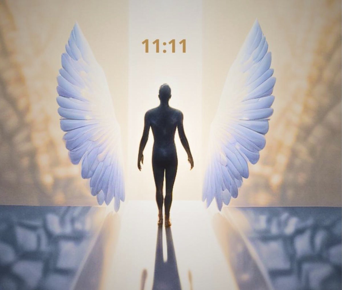 Edition_five's tweet image. 