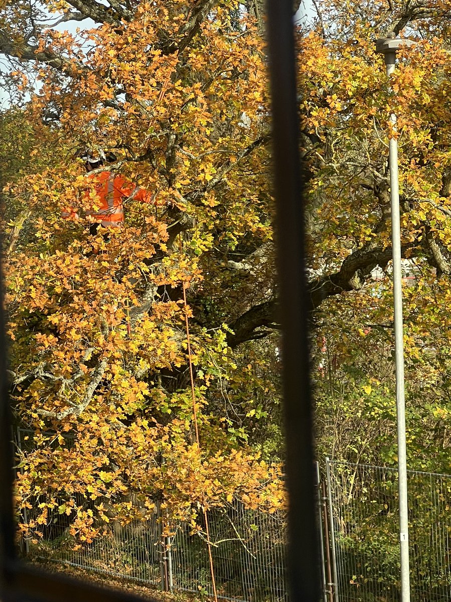 Natalie Boardman tweet media