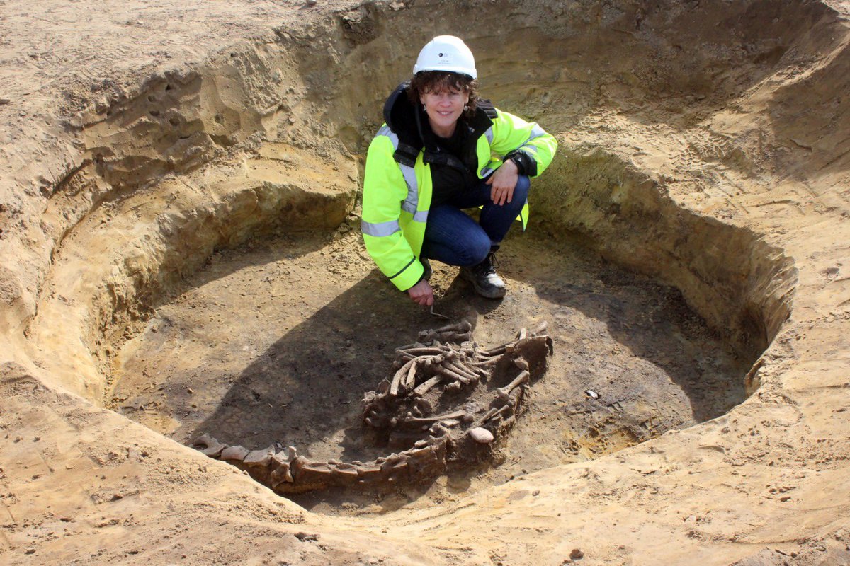 CotswoldArch's tweet image. 🚨 Just published: 6,000 𝘺𝘦𝘢𝘳𝘴 𝘰𝘧 𝘩𝘪𝘴𝘵𝘰𝘳𝘺, 𝘵𝘰𝘭𝘥 𝘪𝘯 𝘵𝘸𝘰 𝘴𝘵𝘶𝘯𝘯𝘪𝘯𝘨 𝘯𝘦𝘸 𝘷𝘰𝘭𝘶𝘮𝘦𝘴! 📚

Our excavations at #Thame revealed a story spanning the Early #Neolithic to Late #Saxon periods – the largest known triple-ditched causewayed enclosure in the…