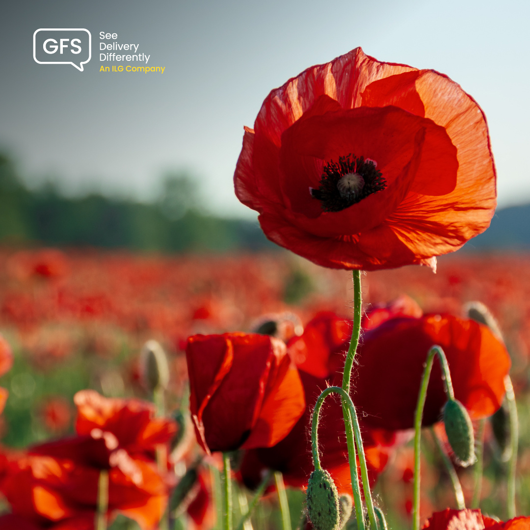 Today, we honour the courage, sacrifice and resilience of those who have served and continue to serve for our freedom.

Lest We Forget 🌺

#RemembranceDay #LestWeForget