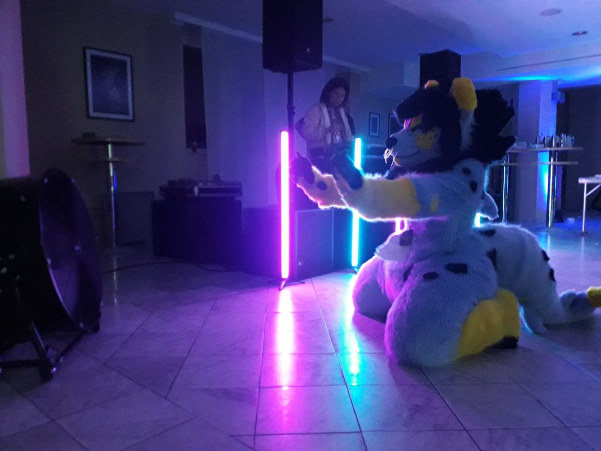KrapetteKO's tweet photo. Some pics from the Dead Dog Party at #Fluufff

My lover, the big windy fan, always here for me https://t.co/f7VGWwCbsy