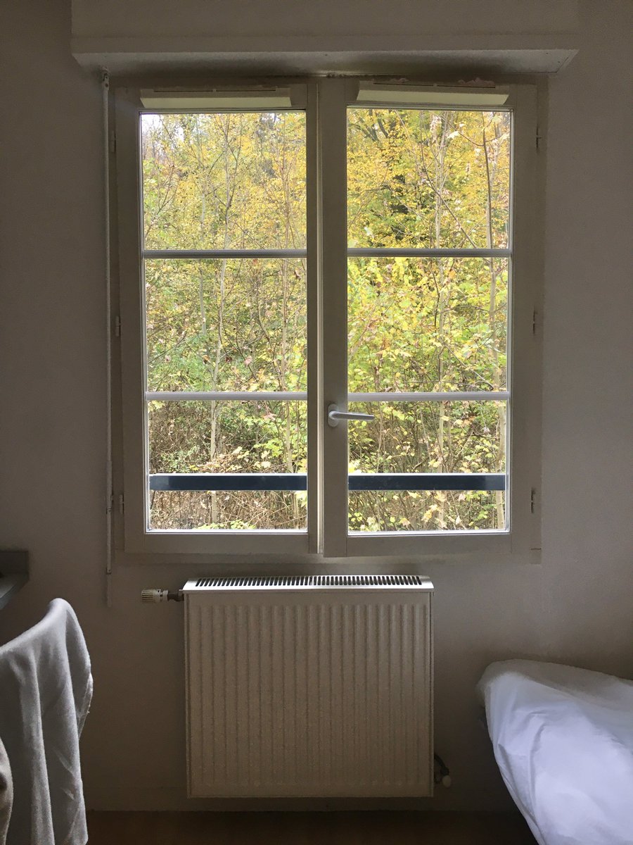 처음 올때 분명히 초록이었는데 두달만에 .. 🍂