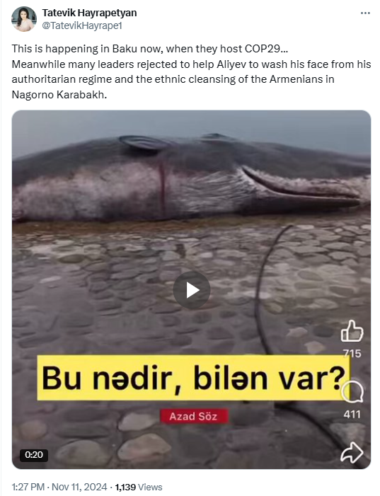 RufatAbas's tweet photo. Armos driven by blind hatred and propaganda are unaware that this is a mock-up installation and that whales do not inhabit the Caspian Sea. https://t.co/QiNYOifI2b