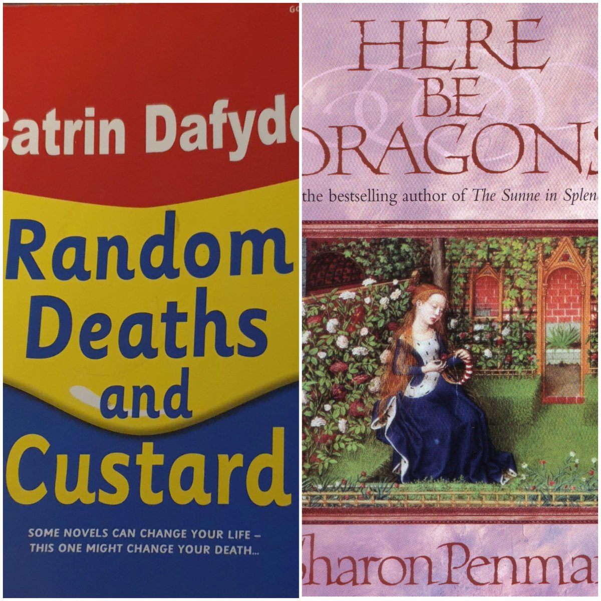 I'm a avid &amp; adventurous reader with a need for narrative. I've loved contrasting #SharonPenman 's historical telling of C12th Welsh history (teaching stuff I never learnt!) to Cartin Dafydd's more recent C20 Welsh tales of life in the valleys. More gritty, but equally lovely