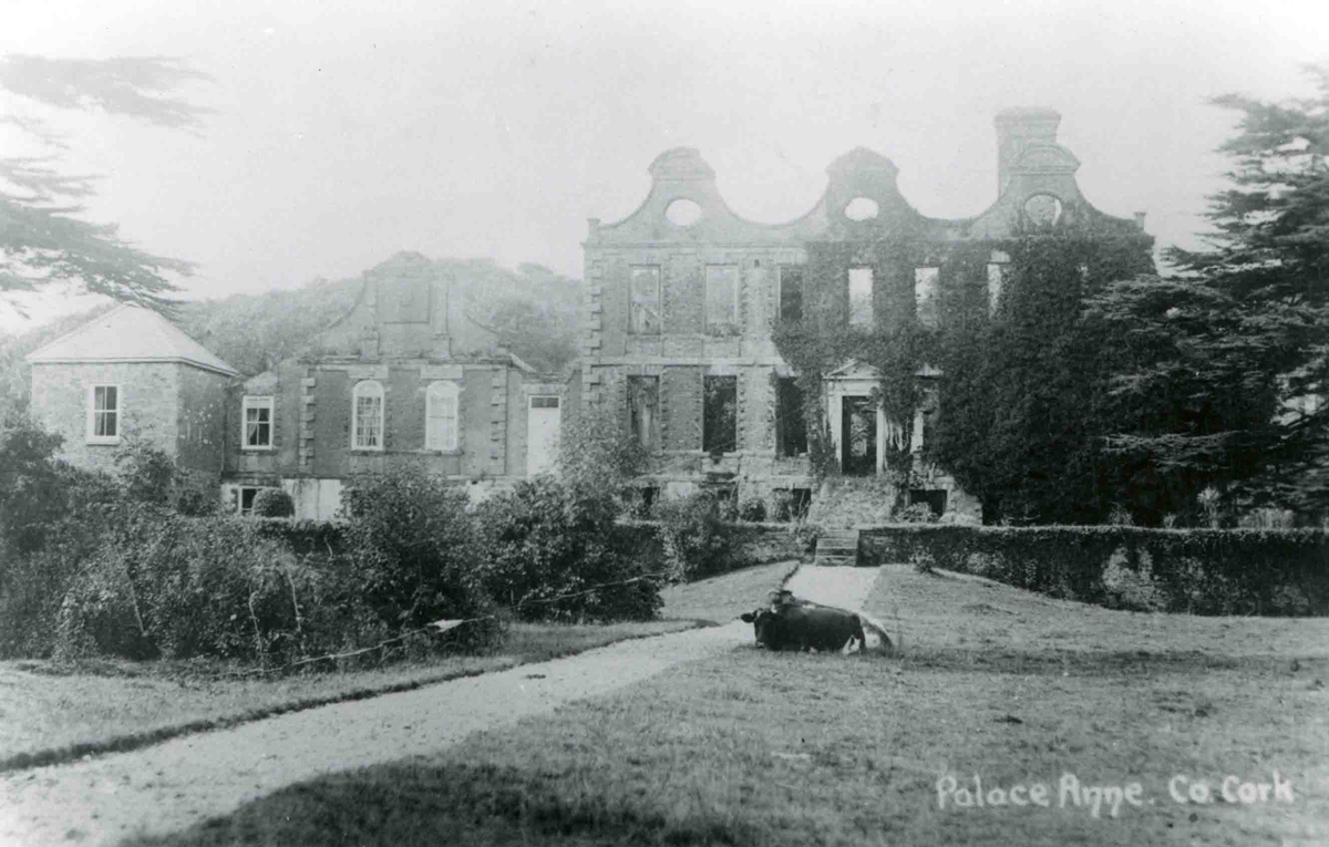 The latest post on my blog concerns a remarkable Dutch-influenced Irish house and the family who owned it: landedfamilies.blogspot.com/2024/11/589-be…