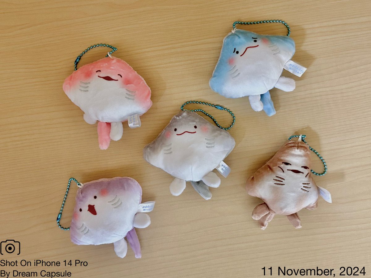 ふわふわ顔のぬいぐるみ 🌟新入荷ガチャ商品プレゼントCP🌟 こっちが顔⁉︎なエイの裏側の