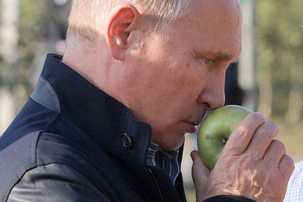 Путин говорит tweet media