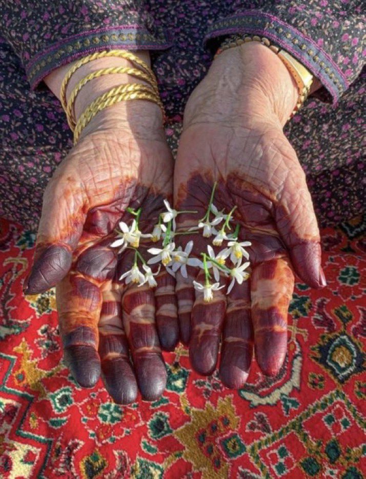 " دايـم ويـدهـا للأجـاويد مـدرار 
ياما عطت من فايض الخير يدهَا " ..