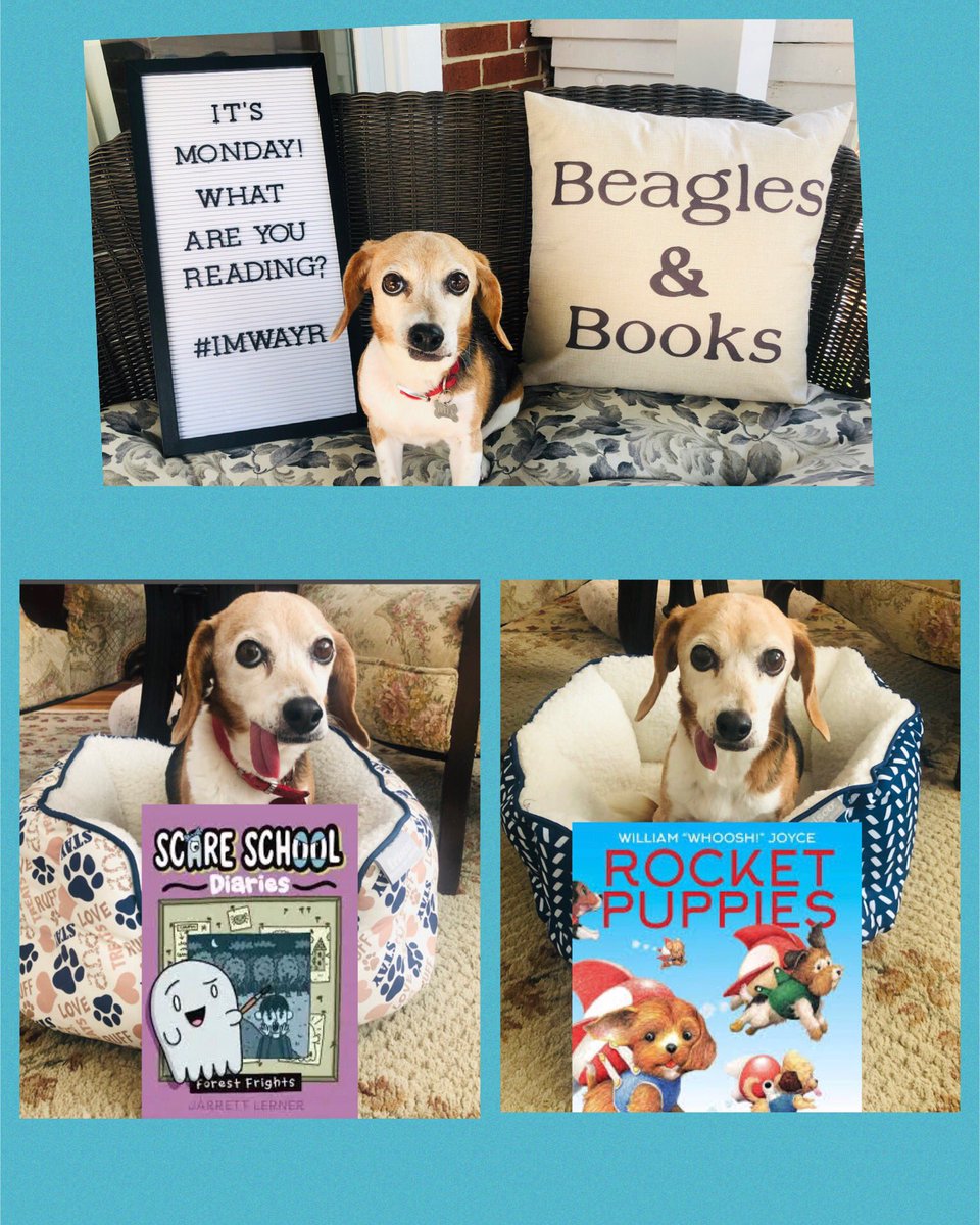 Laura Mossa (@lauramossa) on Twitter photo On Beagles & Books’ #IMWAYR, Bella & I share <a href="/SimonKIDS/">Simon Kids</a>’ new releases-illustrated #chapterbook SCARE SCHOOL: FOREST FRIGHTS 👻 & #picturebook ROCKET PUPPIES 🚀 🐶 which both warm my heart & soul. Full reviews ➡️ beaglesandbooks.com/2024/11/11/its… #beaglesandbooks On Beagles & Books’ #IMWAYR, Bella & I share <a href="/SimonKIDS/">Simon Kids</a>’ new releases-illustrated #chapterbook SCARE SCHOOL: FOREST FRIGHTS 👻 & #picturebook ROCKET PUPPIES 🚀 🐶 which both warm my heart & soul. Full reviews ➡️ beaglesandbooks.com/2024/11/11/its… #beaglesandbooks