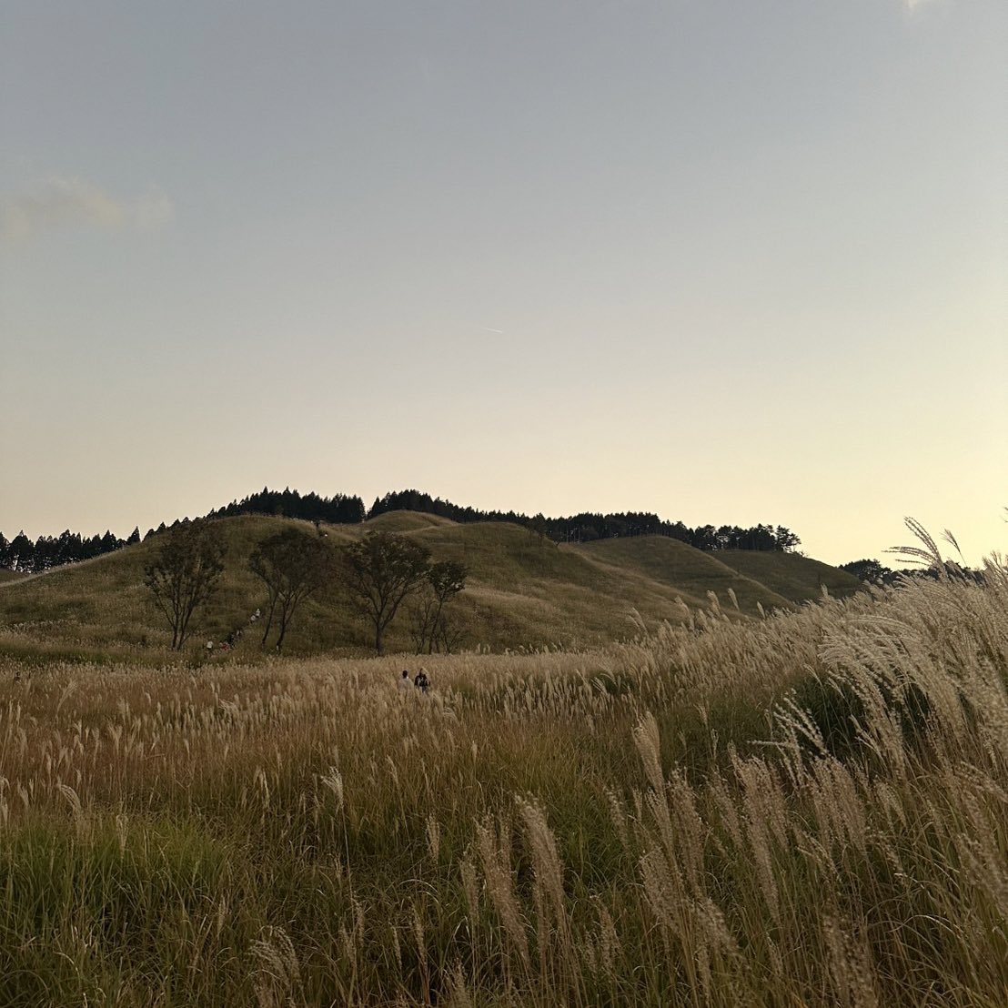 152__cm__'s tweet photo. 秋感じてきた🌾🍁🍂

どこを撮っても綺麗だったの、 https://t.co/p8XmVD5pYO