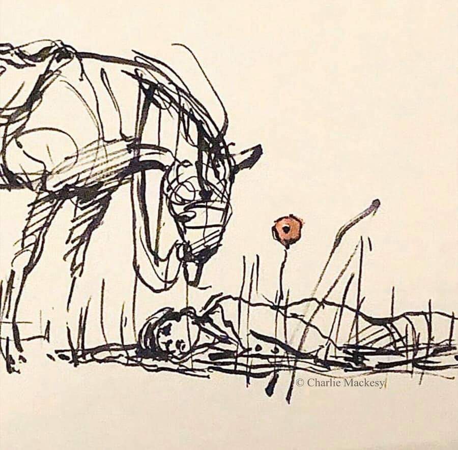 Cath_M_B's tweet image. #RemembranceDay2024 #LestWe