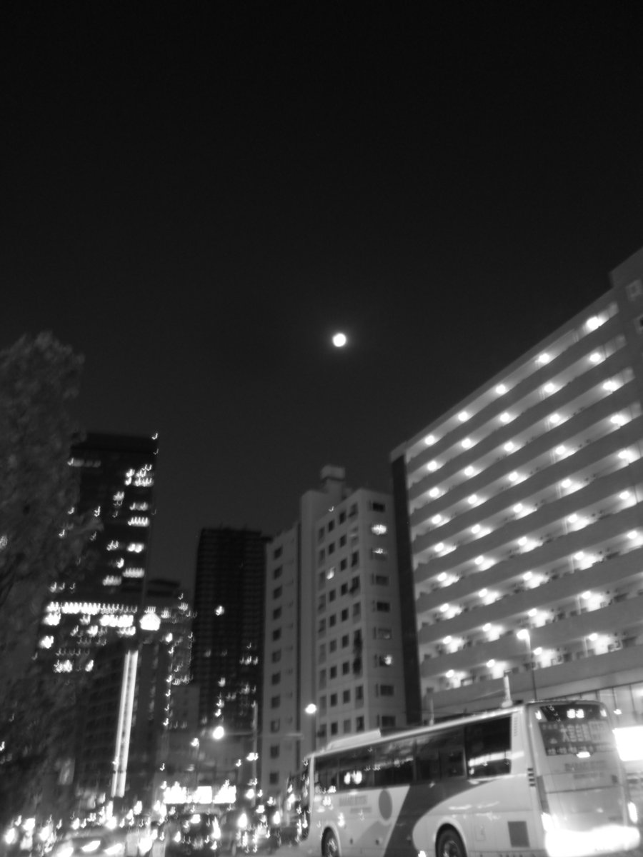 toydigidori's tweet photo. 今宵の月のありどころ
where the tonight's moon is at.

#トイデジ
#PLAZACREATE #D1200
#キリトリセカイ 
#monochrome https://t.co/H3iZzq9NGo