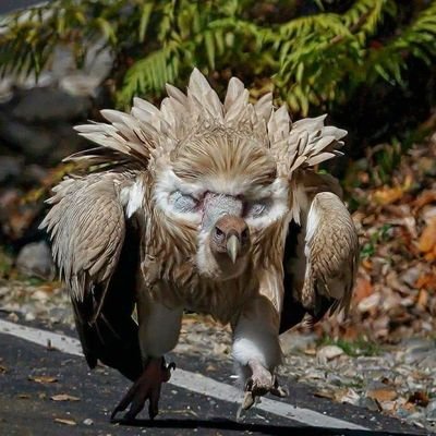 The article is a testament to the author's expertise. I couldn't help but be impressed by the simplicity and depth of this article. Wilda Shorette