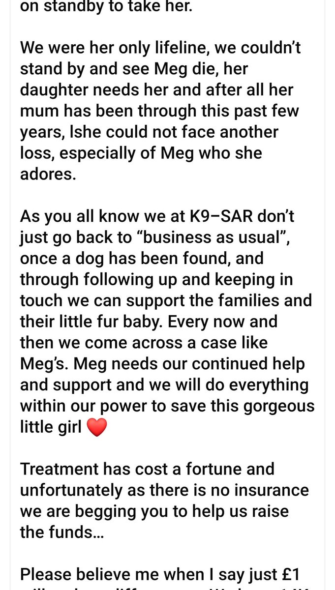 MissingPetsGB's tweet photo. Poor little Meg 💔
Meg was hit by a car while fleeing in terror from loud bangs of #fireworks
Meg has deteriorated at the vets.
Please 🙏 for Megs fast recovery.
Anyone who wants to help with funding for her treatment- details are in the screenshots below https://t.co/7RFQE7PbsJ