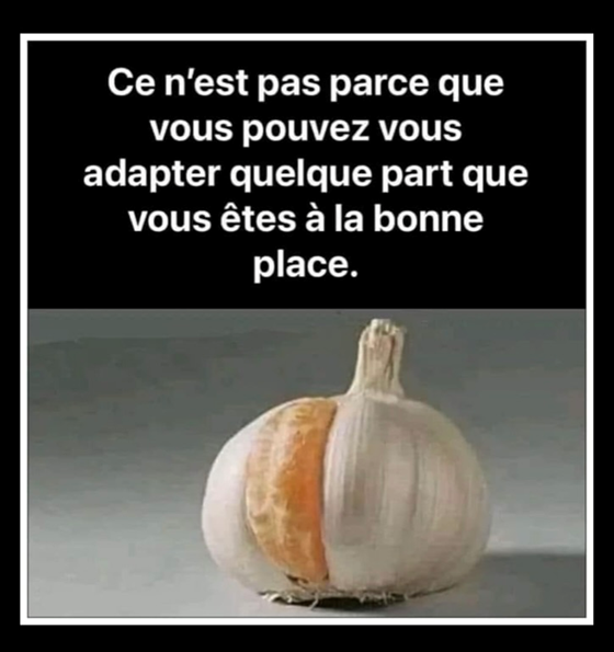 Un peu d'inspiration ✨  

"Ce n'est pas parce que vous pouvez vous adapter quelque part que vous êtes à la bonne place."

#Faitespasserlecourant #Inspiration #DéveloppementPersonnel  #SavoirÊtre #TrouverSaPlace #Épanouissement #Motivation  #CroireEnSoi #Grandir