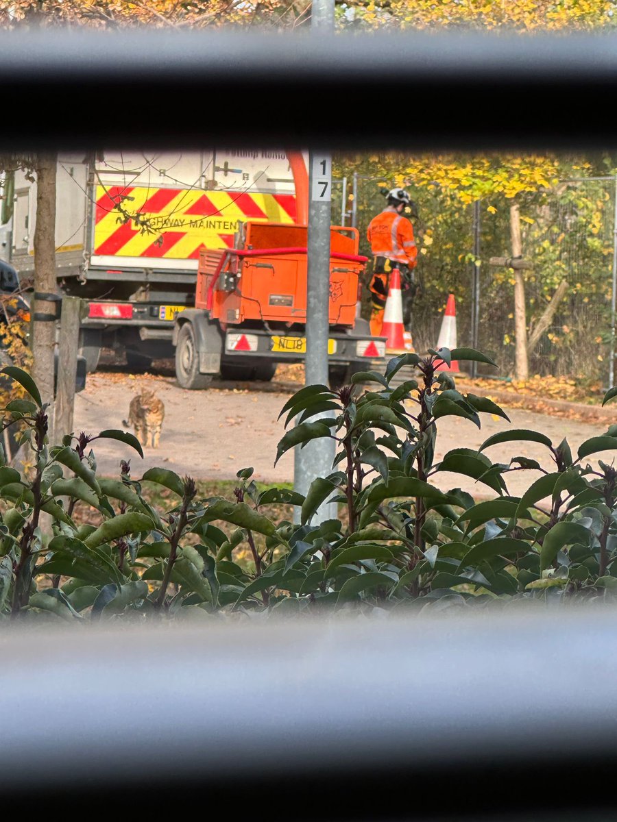 Natalie Boardman tweet media