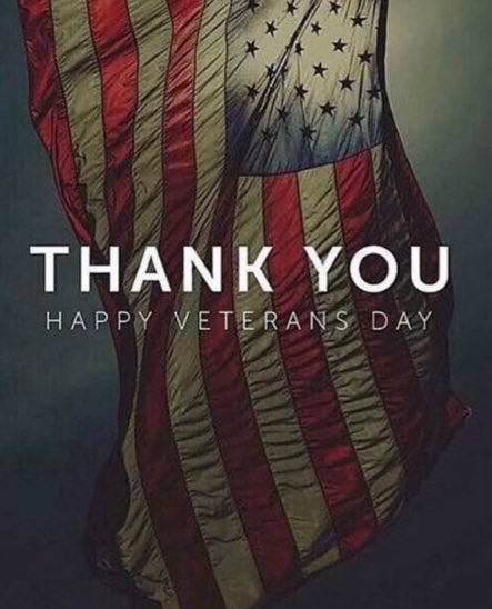To every single Veteran among the living and for all those in our storied past who’ve sacrificed to protect our freedoms…