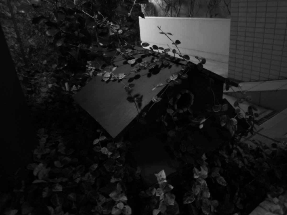 toydigidori's tweet photo. しずかな、あやしい夜に
at calm, weird night.

#トイデジ
#PLAZACREATE #D1200
#キリトリセカイ 
#monochrome https://t.co/XQfwHfF748