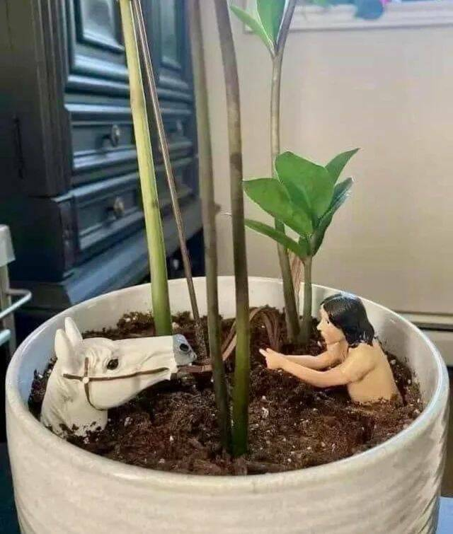 CarlWinslou's tweet photo. Si pillas esto debes saber que es importante a tu edad hacerse chequeos periódicos de mama y/o próstata y/o colón. https://t.co/gnWxQZctgm